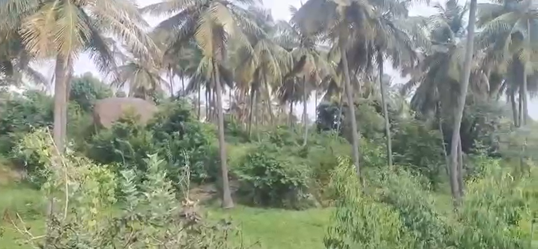 Farm Land for Sale – Kanakapura City 🌴